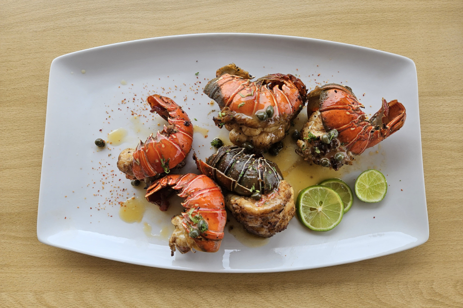 WhatsApp Image 2026-01-19 at 3.54.11 PM