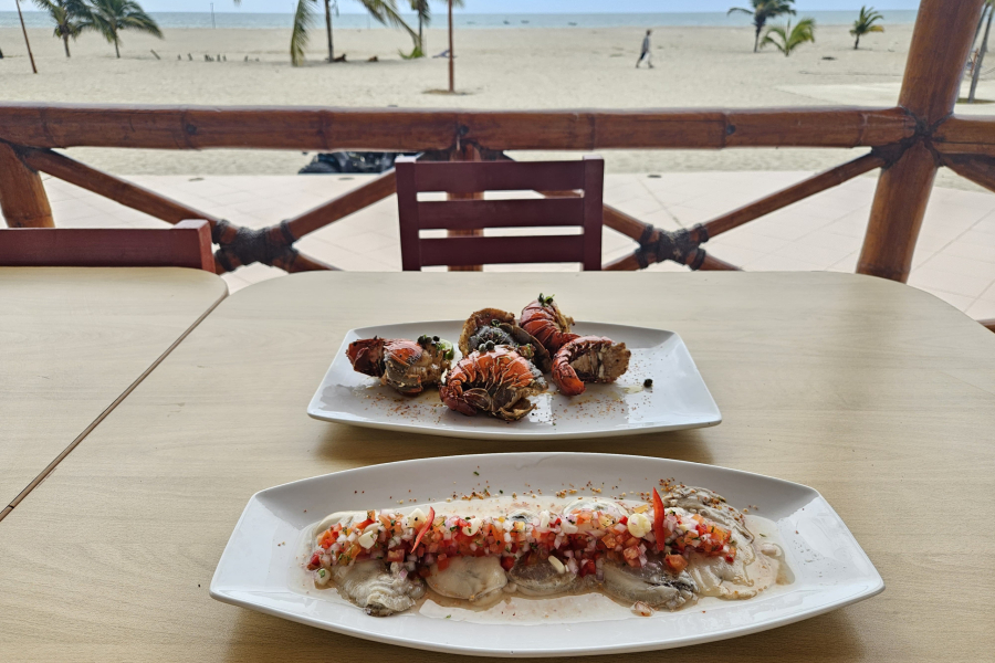 WhatsApp Image 2026-01-19 at 3.54.12 PM (1)