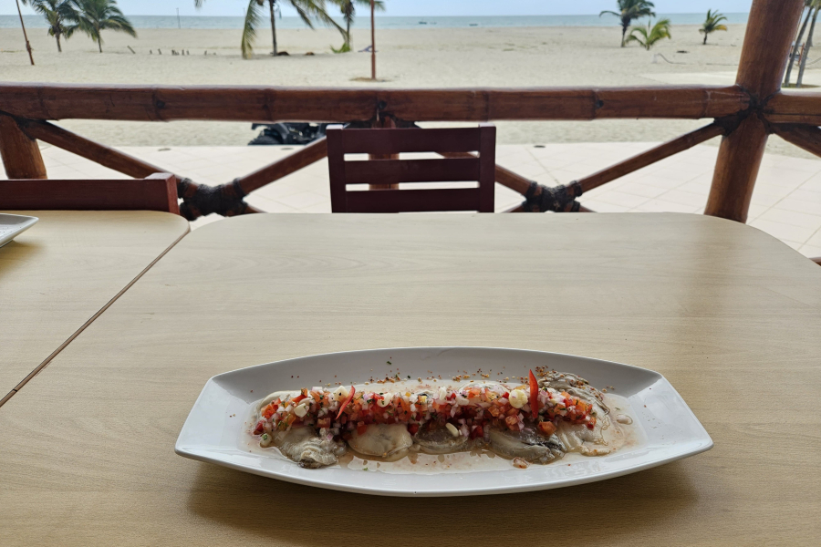 WhatsApp Image 2026-01-19 at 3.54.12 PM